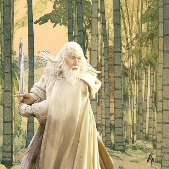 Lord Of The Rings (Gandalf) 