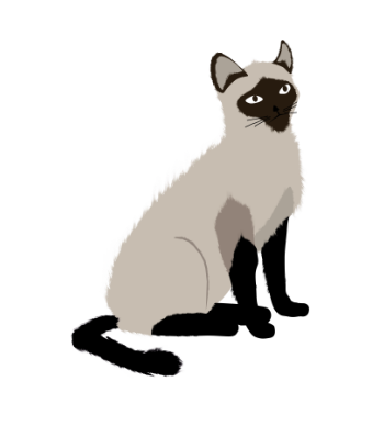 Cool and Cute Siamese Cat Breed Illustration A3 Poster