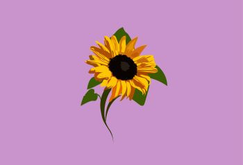 Sunflower A3 Poster