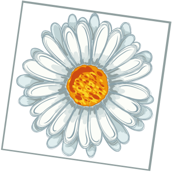 Dizzy Daisy 