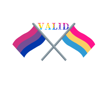 You're valid x Bi&Pan Flags (2) A3 Poster