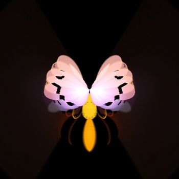 Butterfwalla A3 Poster