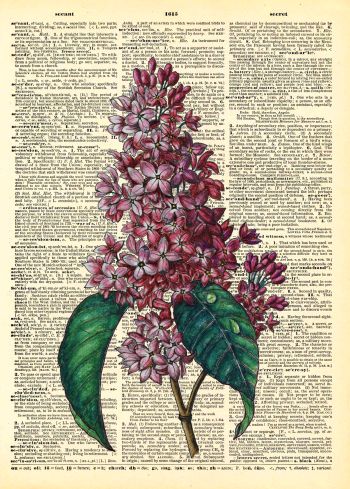 Vintage Botanicals A3 Poster