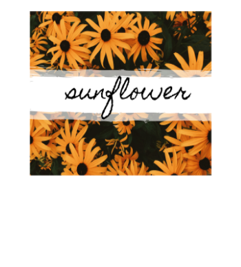 sunflower A3 Poster