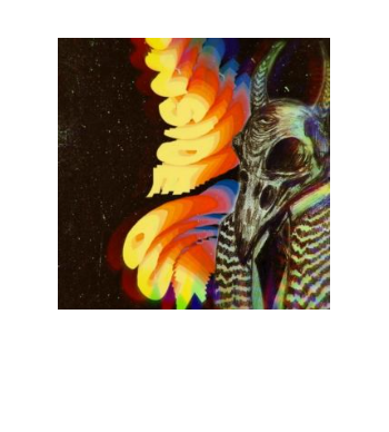 Raven skull A3 Poster