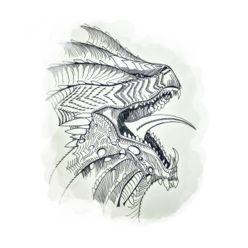 Dragon Sketch 