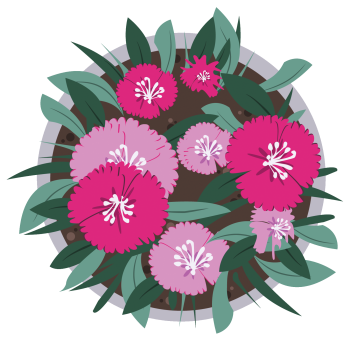The Flower Pot 