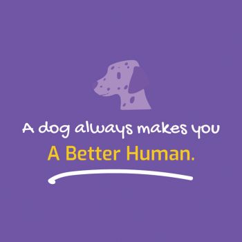 A Better Human 