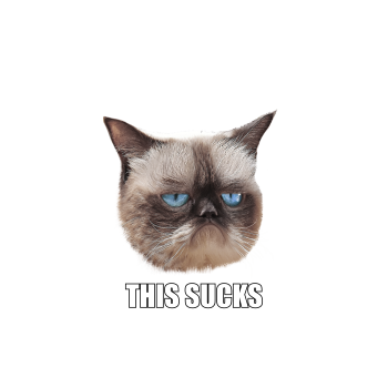 Angry cat 