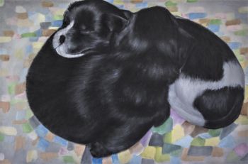 Puppies 