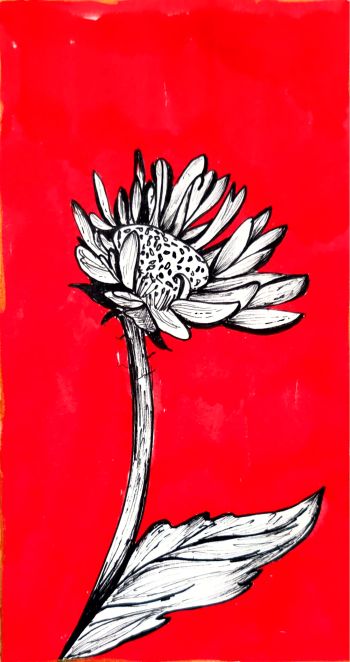 Hand Drawn Floral A3 Art Print 