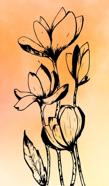 Lotus Hand drawn Aesthetic art print 