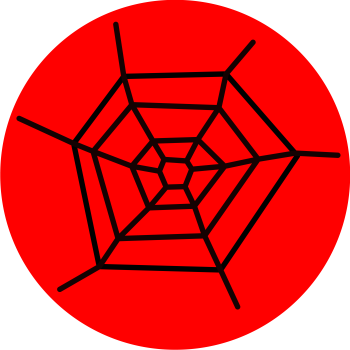 SPIDER WEB 