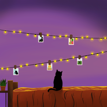Memories cat 