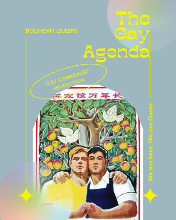 Gay commmunist revolution 