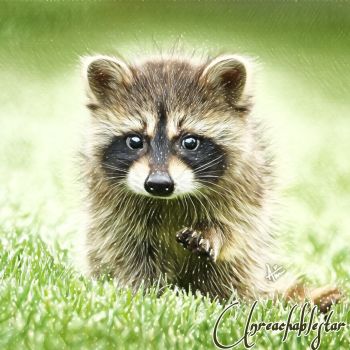 Baby Raccoon artwork A3 Poster