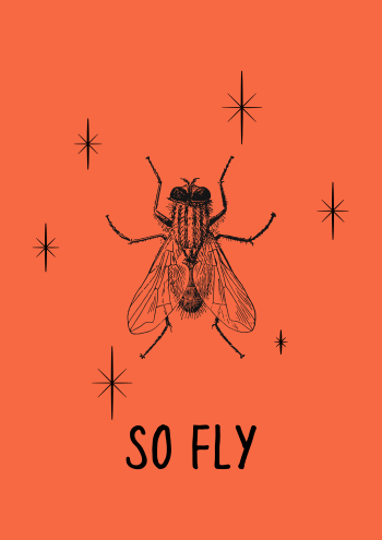 So Fly A3 Poster