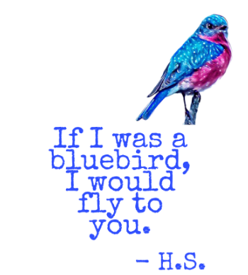 Bluebird Harry Styles A3 Poster