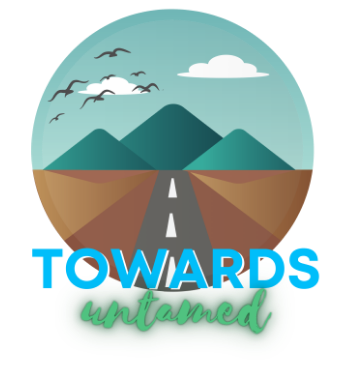 Towards Untamed  A3 Poster