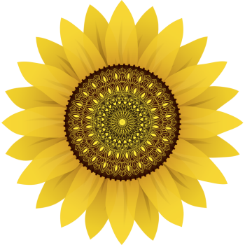 Sunflower Mandala (Golden) A3 Poster