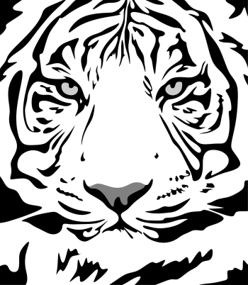 White Tiger Face Tattoo A3 Poster