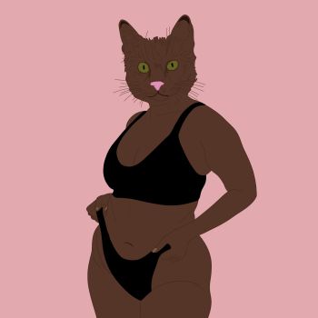 body positive catwoman A3 Poster