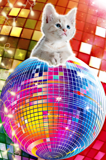 Party Kitty - Disco Night Cat A3 Poster