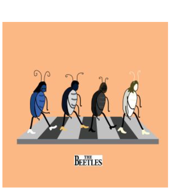 the beatles A4 Poster