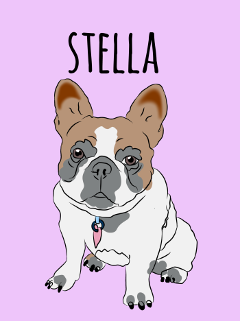 Modern Family-Stella Doggo A3 Poster