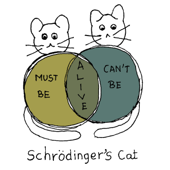 Schrodinger's Cat A3 Poster