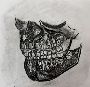 Skull Abstract A3 Poster