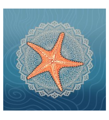 Star fish themed mandala A3 Poster