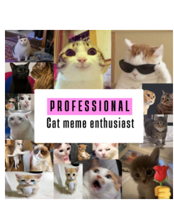 Funny Cat Memes A3 Poster