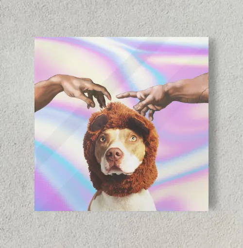 POOCH 8" x 8" Acrylic Poster