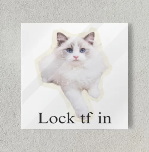 Lock TF In Cat Tshirt, Funny G 8" x 8" Acrylic Poster