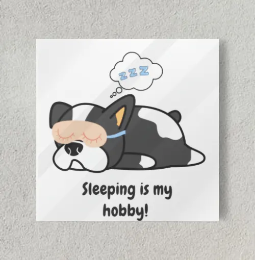 Sleep is my hobby 8" x 8" Acrylic Poster