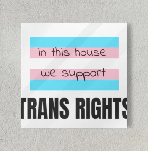 Trans Rights 8" x 8" Acrylic Poster