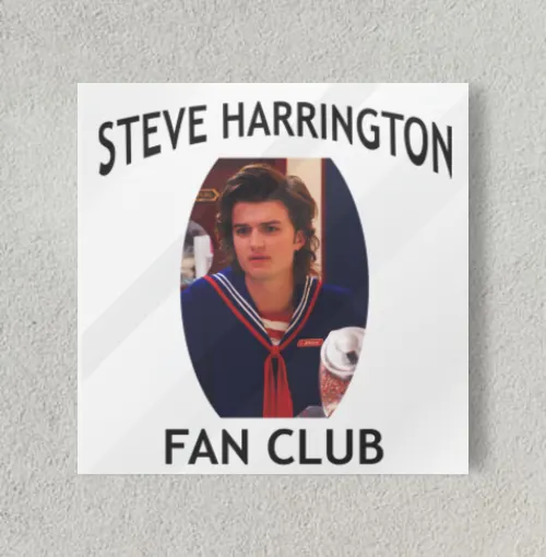 Stranger Things Steve 8" x 8" Acrylic Poster