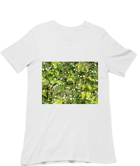KERALA  GREENS Regular T-Shirt