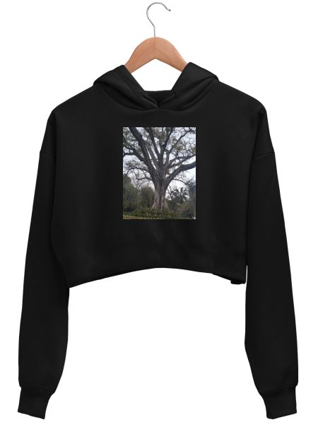 Natural tree Crop Hoodie