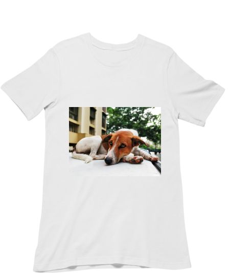 Grumpy Dog Classic T-Shirt