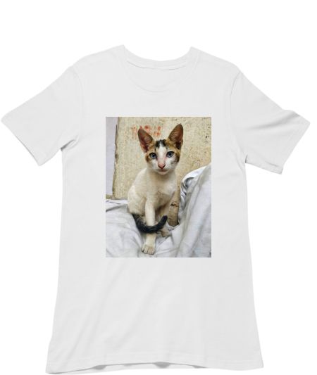 Blue eyed boy Regular T-Shirt