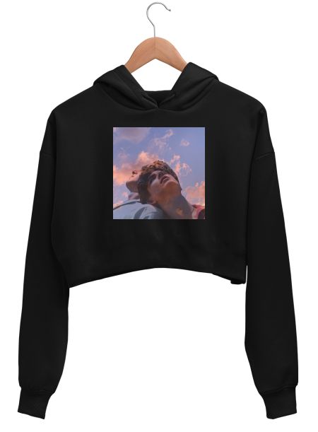 Timothee Chalamet Crop Hoodie