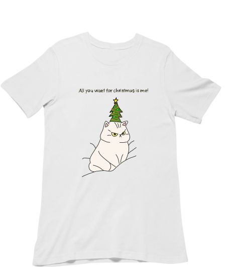 All you want for Christmas  Regular T-Shirt