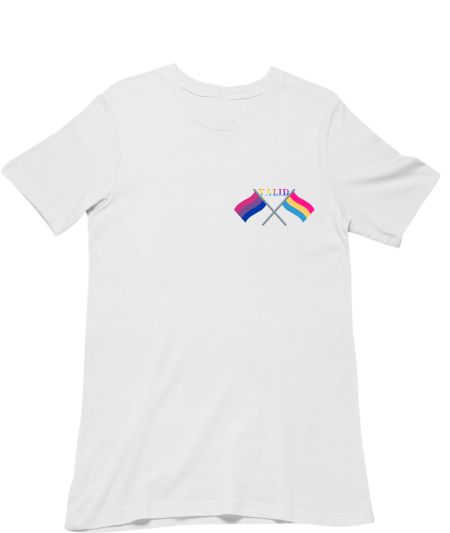You're valid x Bi&Pan Flags Regular T-Shirt