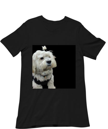 ANGRY DOGGO Classic T-Shirt