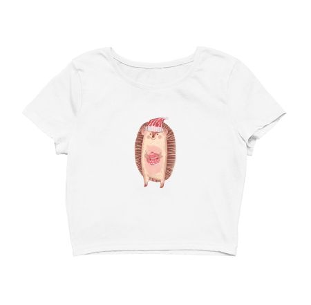 Christmas Porcupine with Gift Crop Top