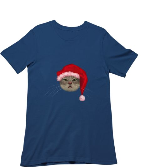 Silly cat wearing silly hat 2 Classic T-Shirt