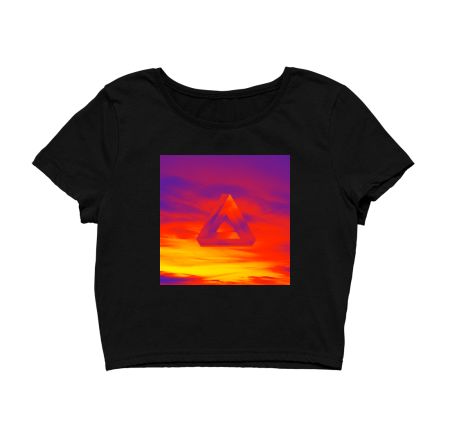 Abstract triangle with beautiful colors Crop Top