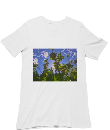 Green calm Classic T-Shirt